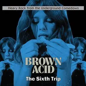 VA - Brown Acid - The Sixth Trip (2018)