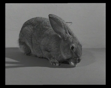 Yesterday Girl / Abschied von gestern - by Alexander Kluge (1966)