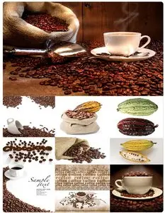 Сасао & Coffee
