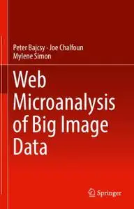 Web Microanalysis of Big Image Data (Repost)