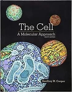 The Cell: A Molecular Approach (Repost)