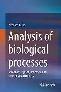 Analysis of biological processes: Verbal description, schemes, and mathematical models