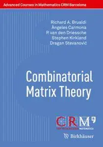 Combinatorial Matrix Theory (Repost)