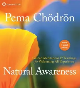 Natural Awareness: Guided Meditations and Teachings for Welcoming All Experience  (Audiobook)