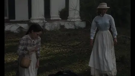 The Beguiled (2017)