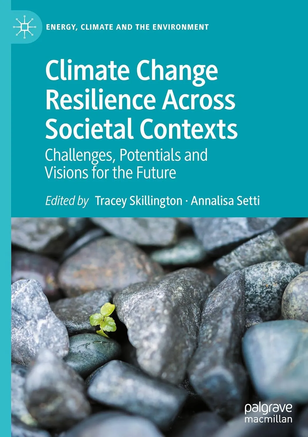 Climate Change Resilience Across Societal Contexts: Challenges, Potentials and Visions for the Future