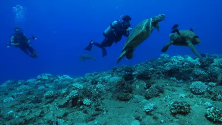 Sea of Hope: America's Underwater Treasures (2017)