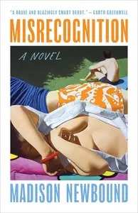 Misrecognition: A Novel