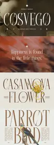 Cosvego Display Serif Font XGSFNNS