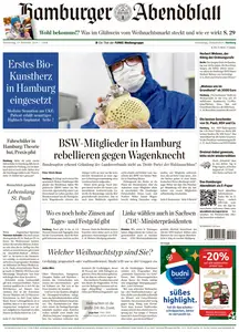 Hamburger Abendblatt  - 19 December 2024