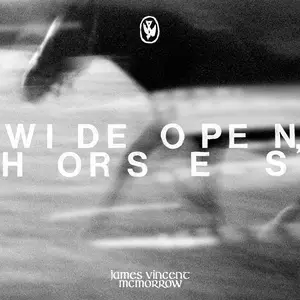 James Vincent McMorrow - Wide open, horses (2024) [Official Digital Download 24/44-48-96]