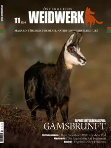 Weidwerk - November 2024