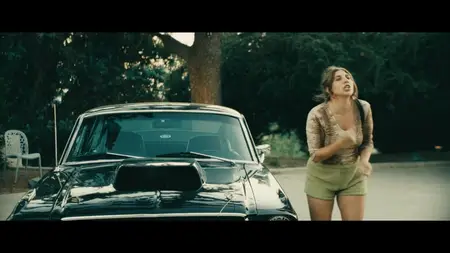 Terrestrial (2025)