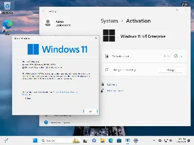 Windows 11 24H2 (No TPM Required) & Windows 10 AIO 32in1 Preactivated January 2025