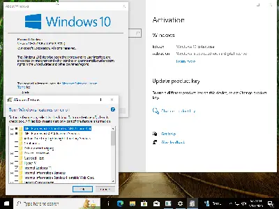 Windows 11 24H2 (No TPM Required) & Windows 10 AIO 32in1 Preactivated January 2025