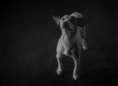 Le quai des brumes / Port of Shadows (1938) [Remastered]