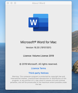 Microsoft Word 2019 for Mac v16.37 VL Multilingual