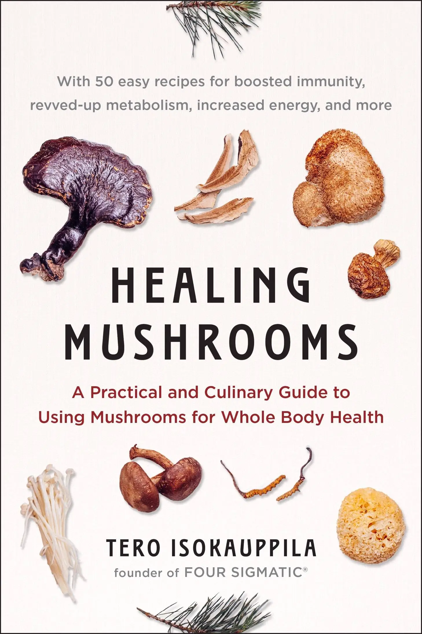 Healing Mushrooms A Practical and Culinary Guide to Using Mushrooms