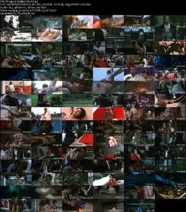 Shogun's Sadism (1976) [Repost]