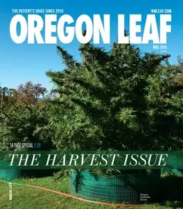 Oregon Leaf - November 2015