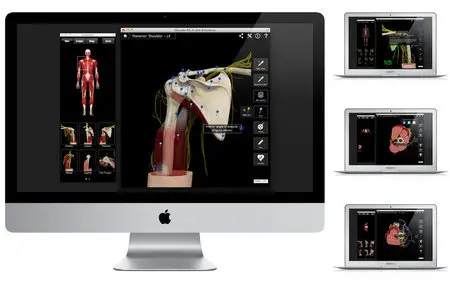 Shoulder Pro III with Animations v3.2.2 Mac OS X