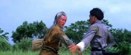 The World of the Drunken Master (1979)