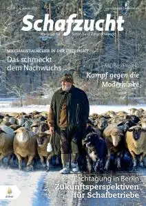 Schafzucht - 4 Januar 2020