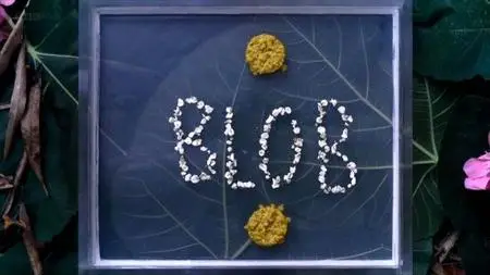 BBC - The Blob: A Genius without a Brain (2021)