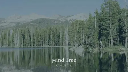 Mirror, Mirror On The Wall - Increase Your Self-Awareness
