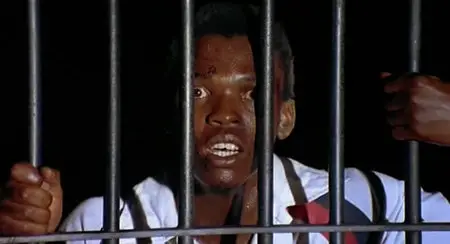 Sarafina! (1992)