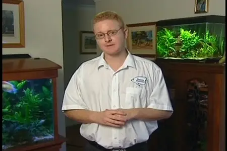 Your Instructional Tropical Aquarium Guide