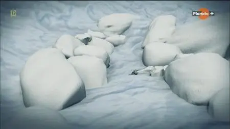 Iceman Autopsy (2011)