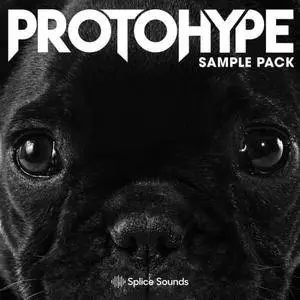 Splice Sounds Protohype Sample Pack WAV