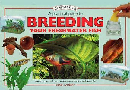 A Practical Guide to Breeding Your Freshwater Fish [Repost]