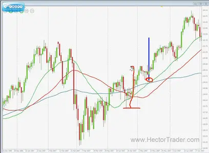 Hector DeVille - Forex Trading Course [repost]
