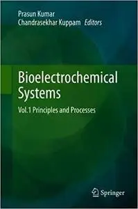 Bioelectrochemical Systems: Vol.1 Principles and Processes