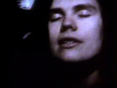 The Smashing Pumpkins - 1991-2000 Greatest Hits Video Collection (2001) Re-up