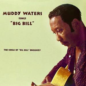 Muddy Waters - Muddy Waters Sings Big Bill Broonzy (1960/2021) [Official Digital Download 24/96]