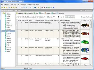 SQLite Expert Professional v3.0.39