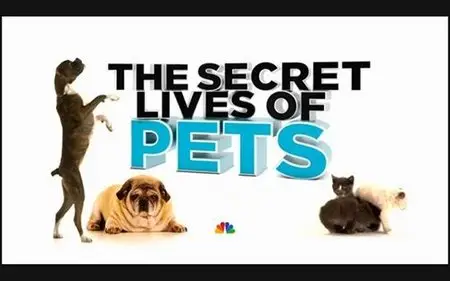 NBC - The Secret Lives of Pets (2014)