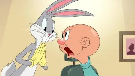 Looney Tunes Cartoons S01E28