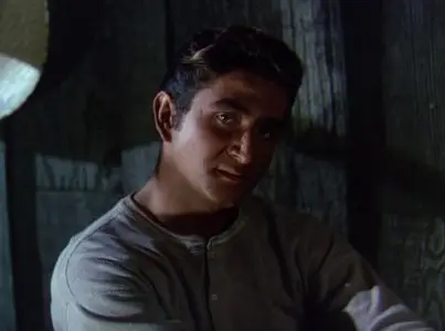The Duel at Silver Creek (1952)