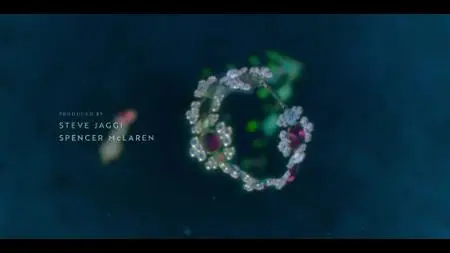 Dive Club S01E04