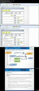 Udemy – SAP Logistic Execution