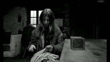 A Torinói ló / The Turin Horse (2011)