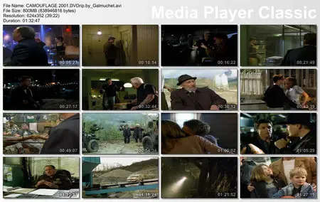 (Comedy) CAMOUFLAGE [DVDrip] 2001