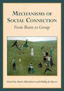 Mechanisms of Social Connection: From Brain to Group