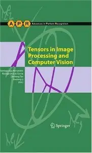 Tensors in Image Processing and Computer Vision (Repost)