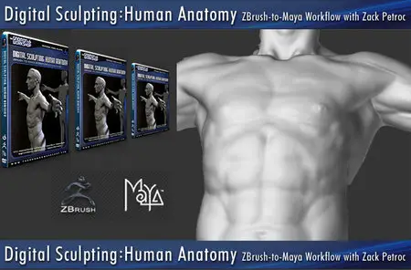 The Gnomon Workshop - Digital Sculpting: Human Anatomy [repost]