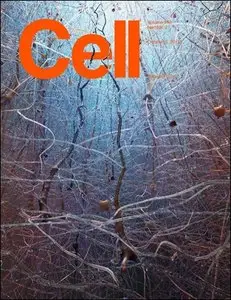 Cell - 8 October 2015